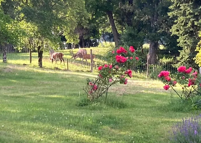 Camping f Selbstversorger Gut Jägerhof
