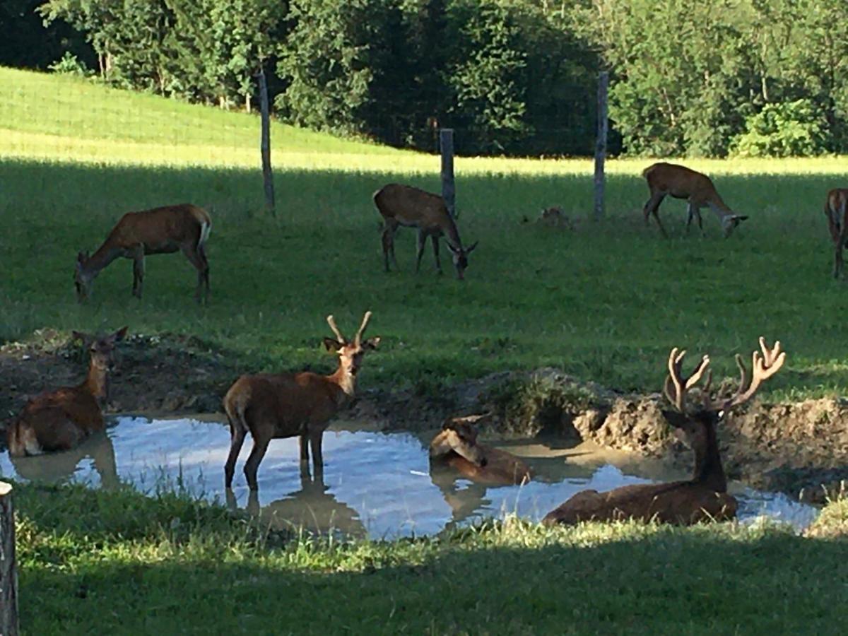 F Selbstversorger Gut Jägerhof Semriach